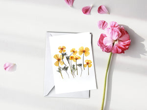 California Poppy - Pressed flower collection card