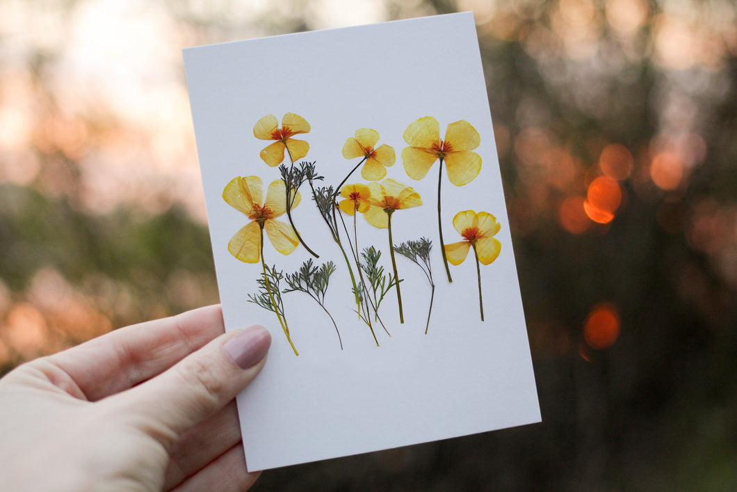 California Poppy - Pressed flower collection card