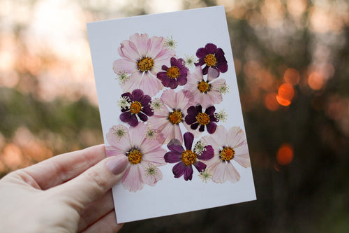 Pink Cosmos - Pressed flower collection greeting card