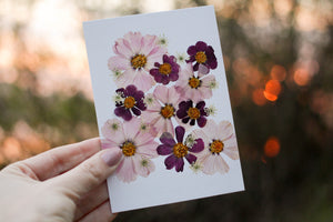 (Wholesale) Pink Cosmos - Pressed flower collection card