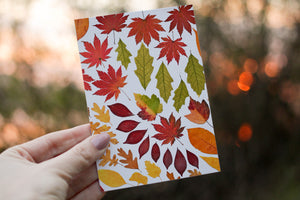 (Wholesale) Fall Leaves  - Pressed flower collection card