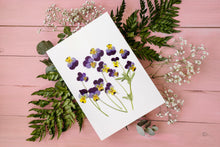 Load image into Gallery viewer, Pansy Viola - Pressed flower collection card