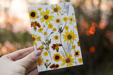 Yellow Flower Mix - Pressed flower collection card